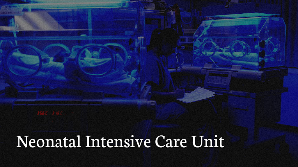 Neonatal Intensive Care Unit (NICU)